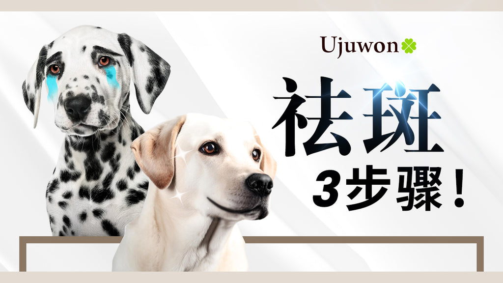 ujuwon-miracle-plus-tomato-skin-booster